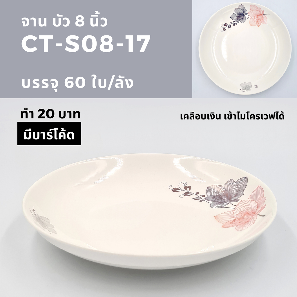 山东贴花8寸饭盘-17