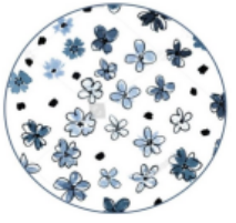 印花8寸饭盘Y159(F)