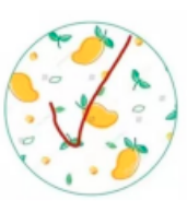 8寸印花饭盘Y166(F)（48）