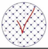 6寸印花直口碗Y168(F)（48）