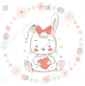 Y169(F) ชามบัว 6นิ้ว (48ใบ)