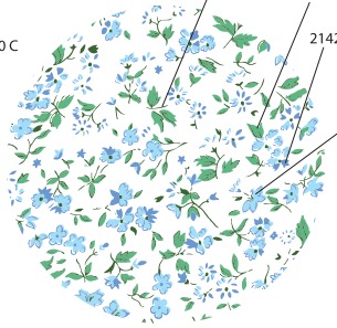 Y228B(F) ถ้วยบัว 4.5นิ้ว ลายนูนรังผึ้ง (120ใบ)