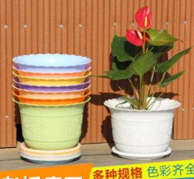 กระถาง+จานรอง ทรงปากแตร 19.5ซม. (เขียว) (150ชุด)