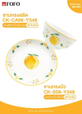 CK-Y348